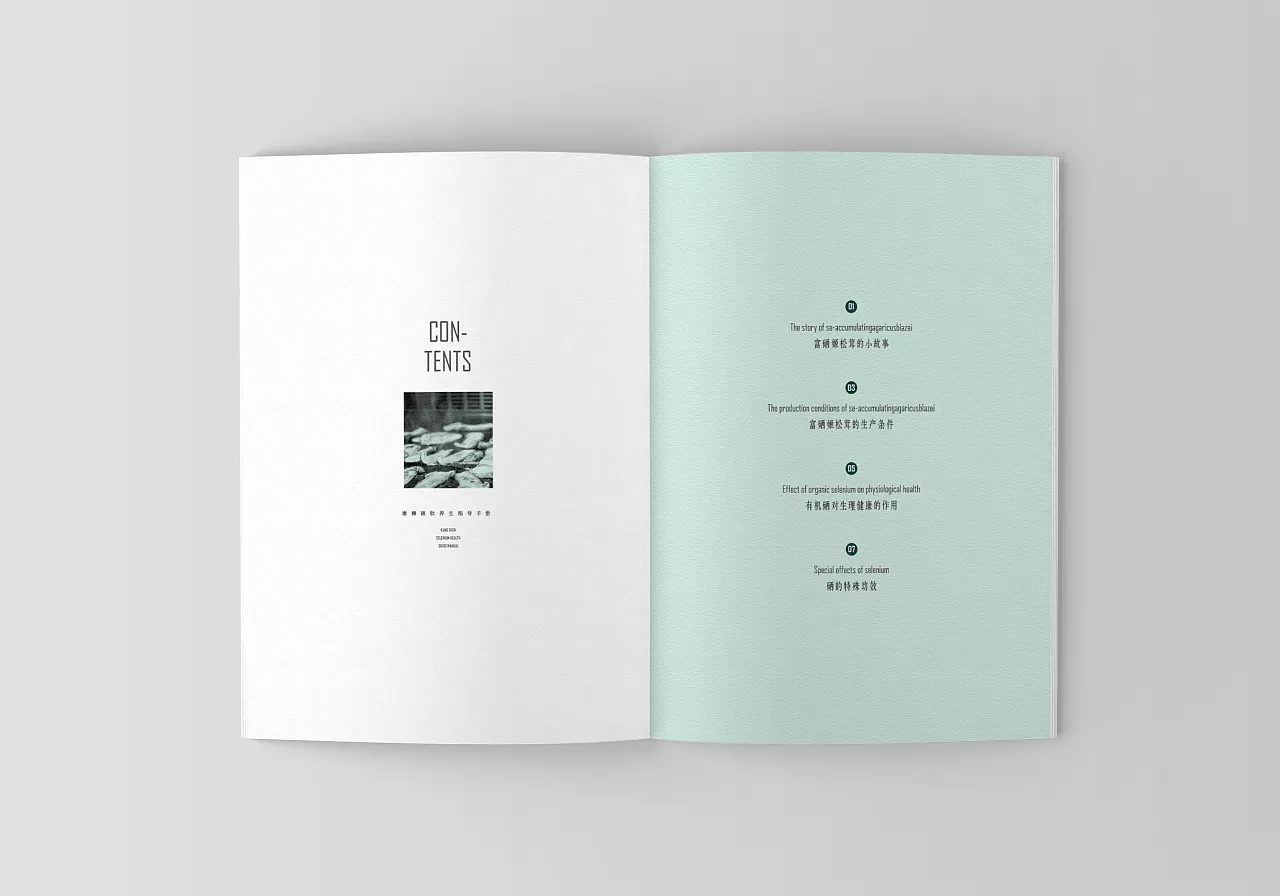 姬松茸畫冊(cè)設(shè)計(jì)